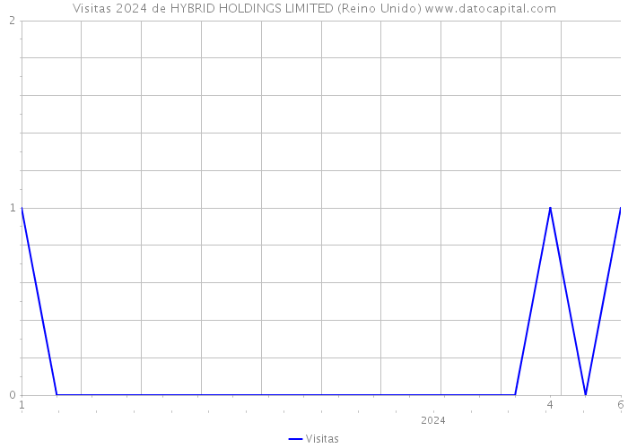 Visitas 2024 de HYBRID HOLDINGS LIMITED (Reino Unido) 