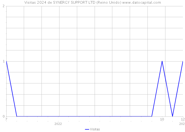 Visitas 2024 de SYNERGY SUPPORT LTD (Reino Unido) 