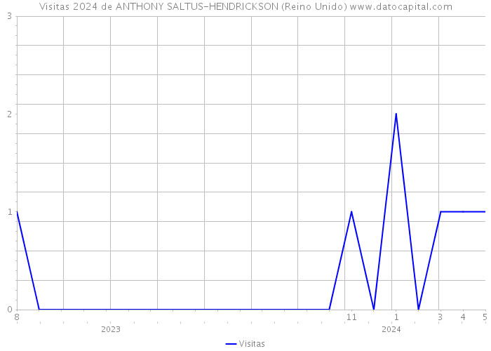Visitas 2024 de ANTHONY SALTUS-HENDRICKSON (Reino Unido) 