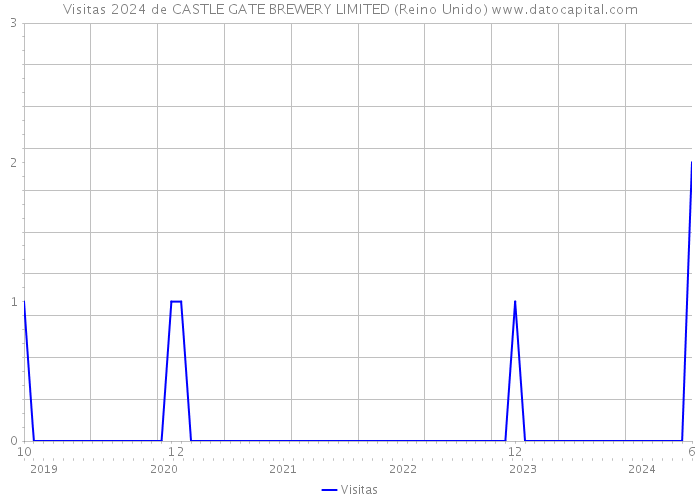 Visitas 2024 de CASTLE GATE BREWERY LIMITED (Reino Unido) 