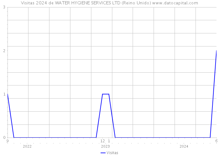 Visitas 2024 de WATER HYGIENE SERVICES LTD (Reino Unido) 