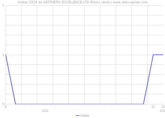 Visitas 2024 de AESTHETIC EXCELLENCE LTD (Reino Unido) 