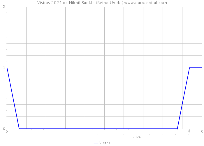 Visitas 2024 de Nikhil Sankla (Reino Unido) 