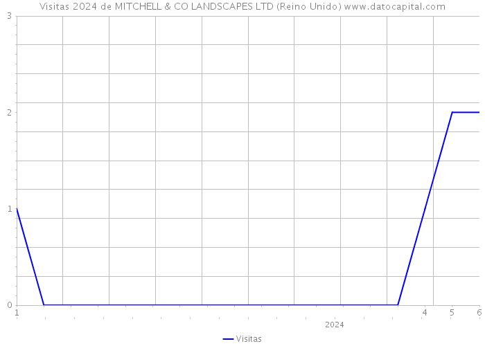 Visitas 2024 de MITCHELL & CO LANDSCAPES LTD (Reino Unido) 