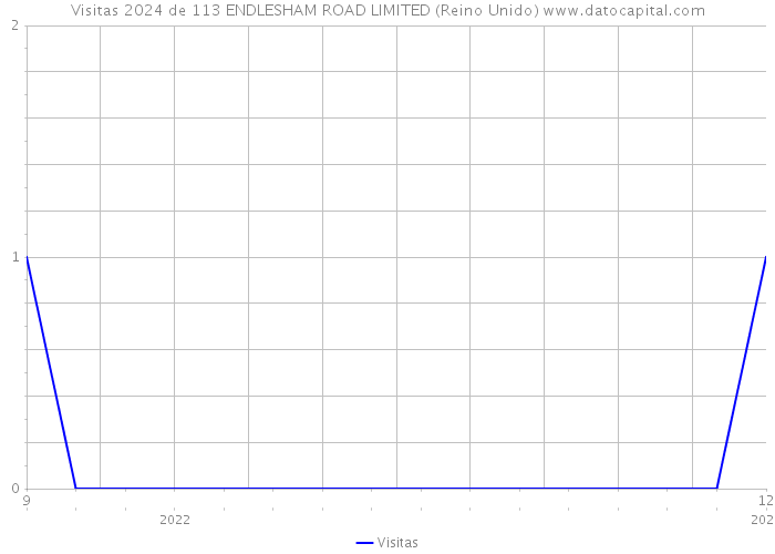 Visitas 2024 de 113 ENDLESHAM ROAD LIMITED (Reino Unido) 