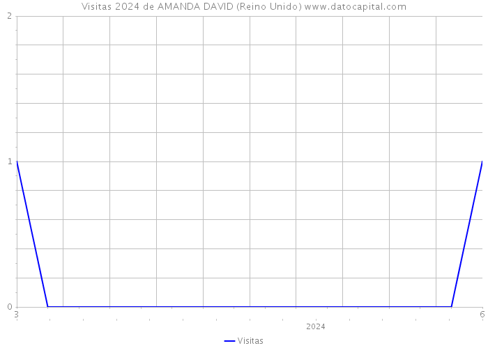 Visitas 2024 de AMANDA DAVID (Reino Unido) 