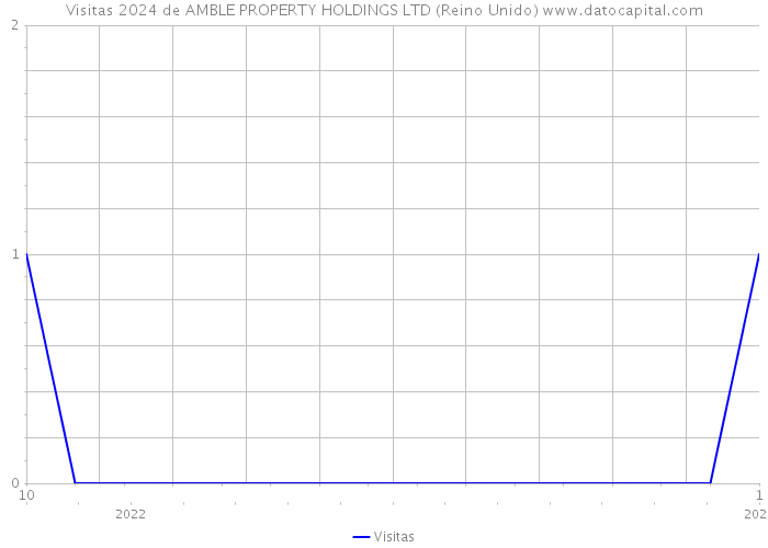 Visitas 2024 de AMBLE PROPERTY HOLDINGS LTD (Reino Unido) 