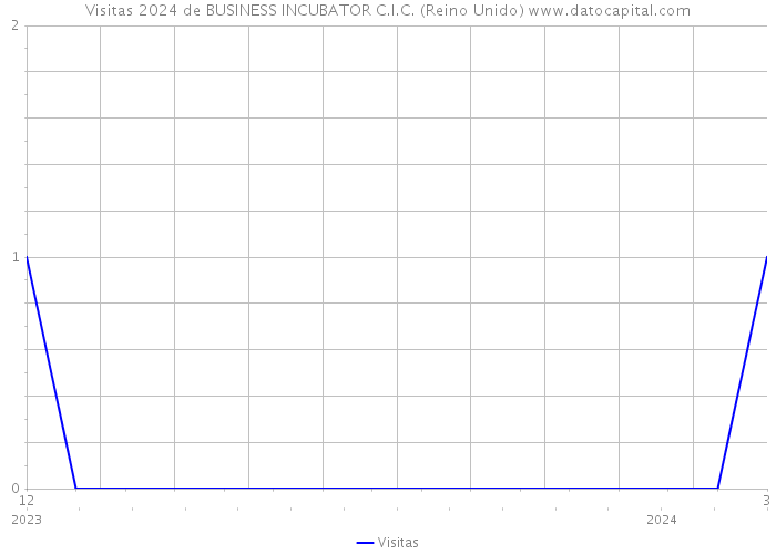 Visitas 2024 de BUSINESS INCUBATOR C.I.C. (Reino Unido) 