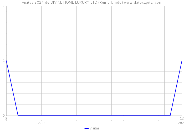 Visitas 2024 de DIVINE HOME LUXURY LTD (Reino Unido) 