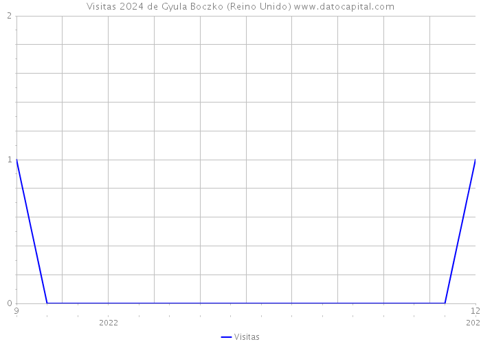 Visitas 2024 de Gyula Boczko (Reino Unido) 