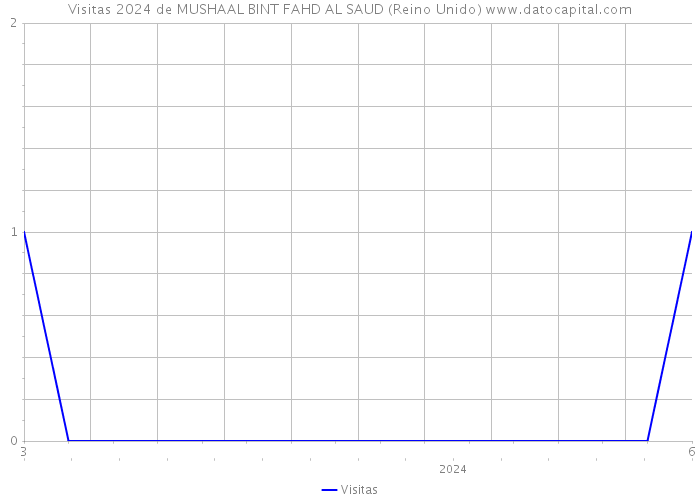 Visitas 2024 de MUSHAAL BINT FAHD AL SAUD (Reino Unido) 