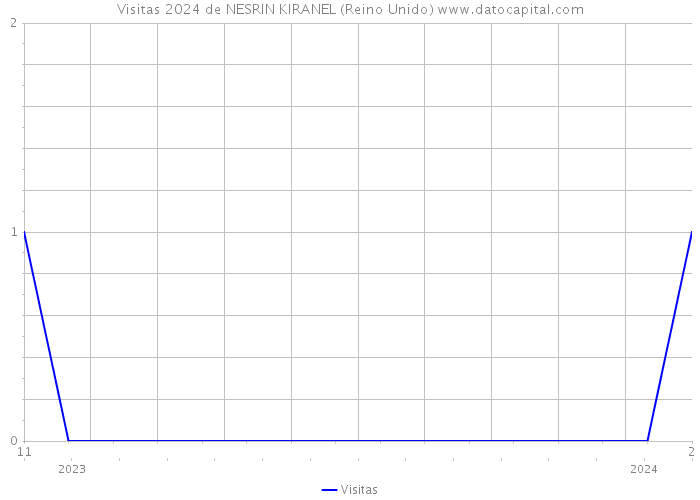 Visitas 2024 de NESRIN KIRANEL (Reino Unido) 