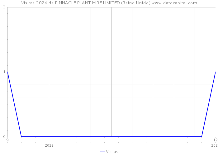 Visitas 2024 de PINNACLE PLANT HIRE LIMITED (Reino Unido) 