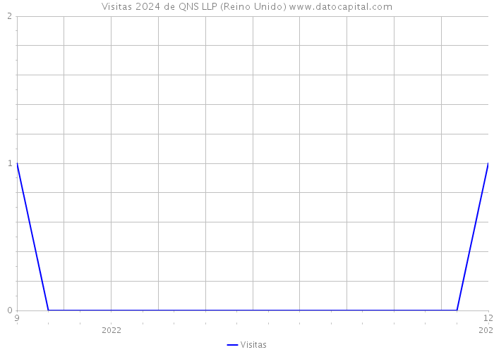 Visitas 2024 de QNS LLP (Reino Unido) 