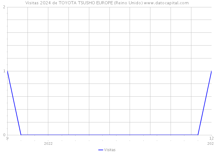Visitas 2024 de TOYOTA TSUSHO EUROPE (Reino Unido) 