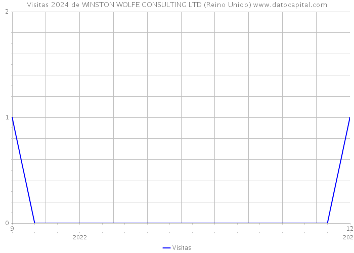 Visitas 2024 de WINSTON WOLFE CONSULTING LTD (Reino Unido) 