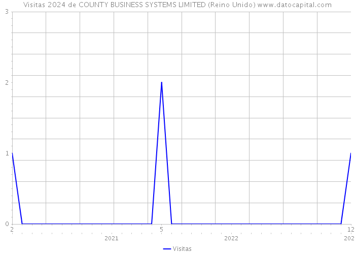 Visitas 2024 de COUNTY BUSINESS SYSTEMS LIMITED (Reino Unido) 