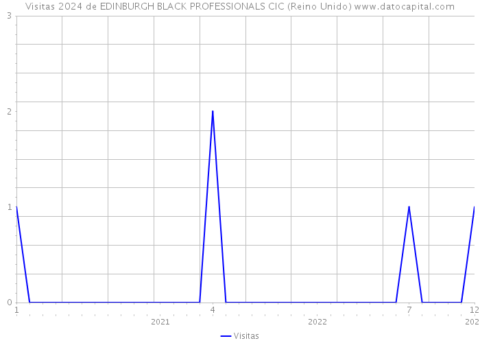 Visitas 2024 de EDINBURGH BLACK PROFESSIONALS CIC (Reino Unido) 