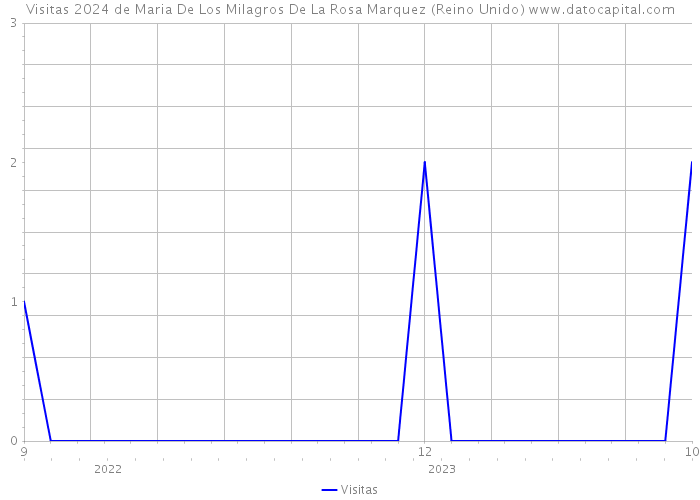 Visitas 2024 de Maria De Los Milagros De La Rosa Marquez (Reino Unido) 