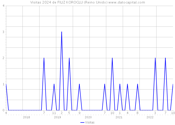 Visitas 2024 de FILIZ KOROGLU (Reino Unido) 