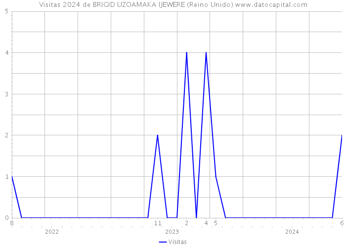 Visitas 2024 de BRIGID UZOAMAKA IJEWERE (Reino Unido) 