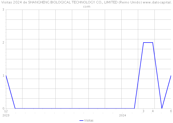 Visitas 2024 de SHANGHENG BIOLOGICAL TECHNOLOGY CO., LIMITED (Reino Unido) 