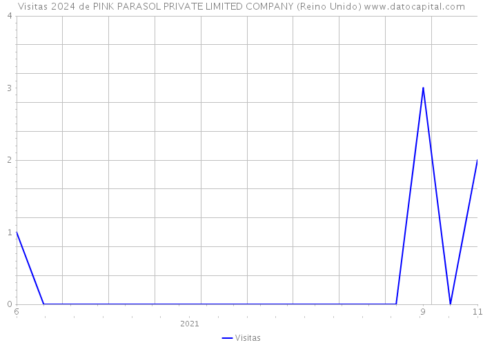 Visitas 2024 de PINK PARASOL PRIVATE LIMITED COMPANY (Reino Unido) 