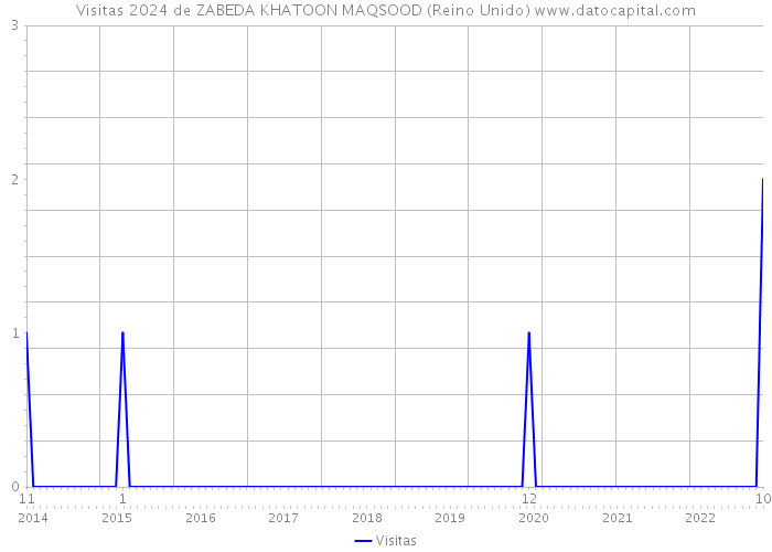 Visitas 2024 de ZABEDA KHATOON MAQSOOD (Reino Unido) 