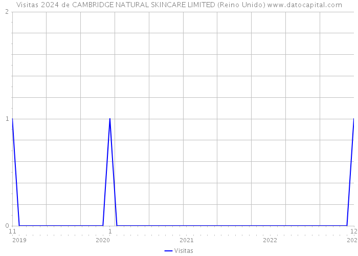 Visitas 2024 de CAMBRIDGE NATURAL SKINCARE LIMITED (Reino Unido) 