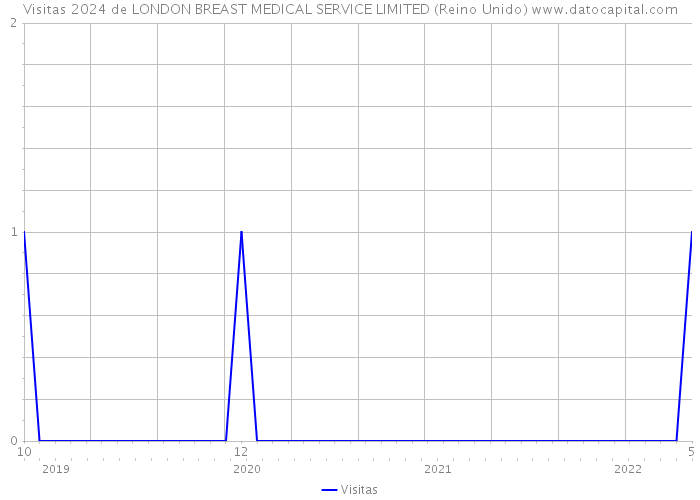 Visitas 2024 de LONDON BREAST MEDICAL SERVICE LIMITED (Reino Unido) 