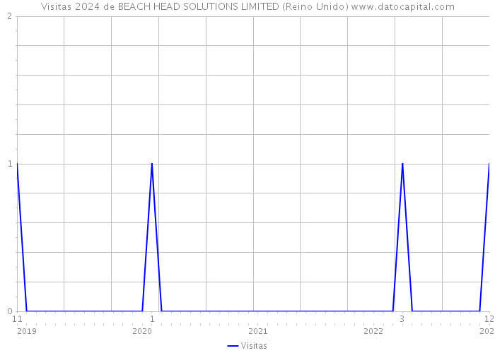 Visitas 2024 de BEACH HEAD SOLUTIONS LIMITED (Reino Unido) 