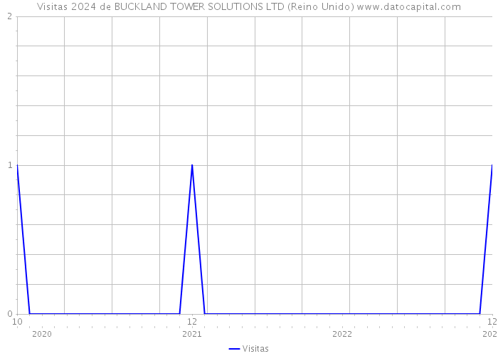 Visitas 2024 de BUCKLAND TOWER SOLUTIONS LTD (Reino Unido) 