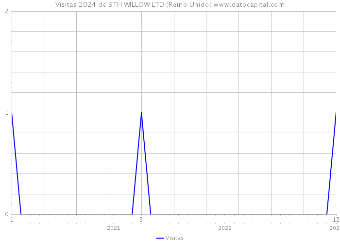 Visitas 2024 de 9TH WILLOW LTD (Reino Unido) 