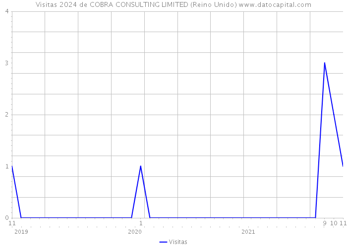 Visitas 2024 de COBRA CONSULTING LIMITED (Reino Unido) 