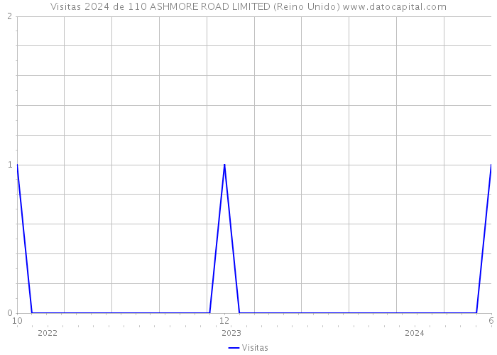 Visitas 2024 de 110 ASHMORE ROAD LIMITED (Reino Unido) 