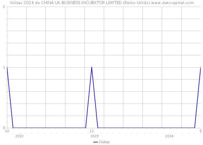 Visitas 2024 de CHINA UK BUSINESS INCUBATOR LIMITED (Reino Unido) 