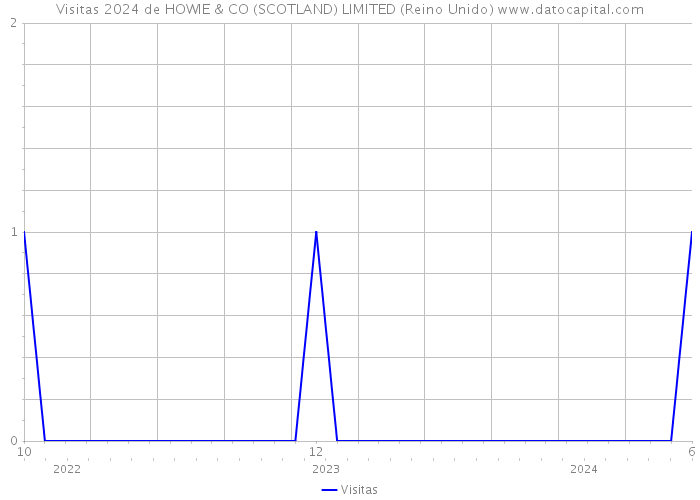 Visitas 2024 de HOWIE & CO (SCOTLAND) LIMITED (Reino Unido) 