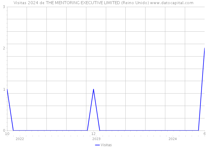 Visitas 2024 de THE MENTORING EXECUTIVE LIMITED (Reino Unido) 