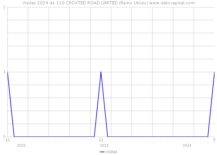 Visitas 2024 de 110 CROXTED ROAD LIMITED (Reino Unido) 