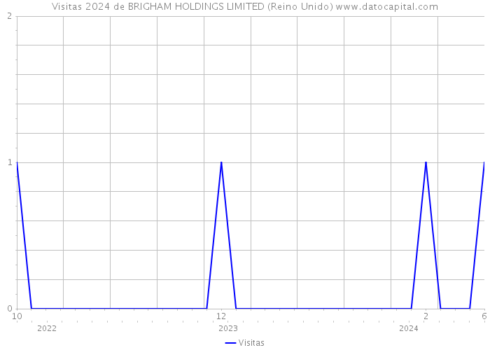 Visitas 2024 de BRIGHAM HOLDINGS LIMITED (Reino Unido) 