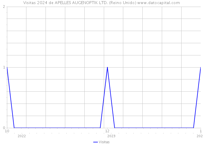 Visitas 2024 de APELLES AUGENOPTIK LTD. (Reino Unido) 