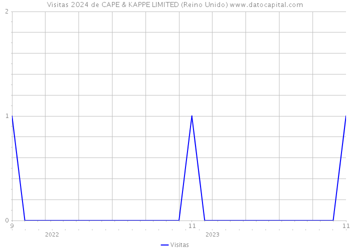 Visitas 2024 de CAPE & KAPPE LIMITED (Reino Unido) 