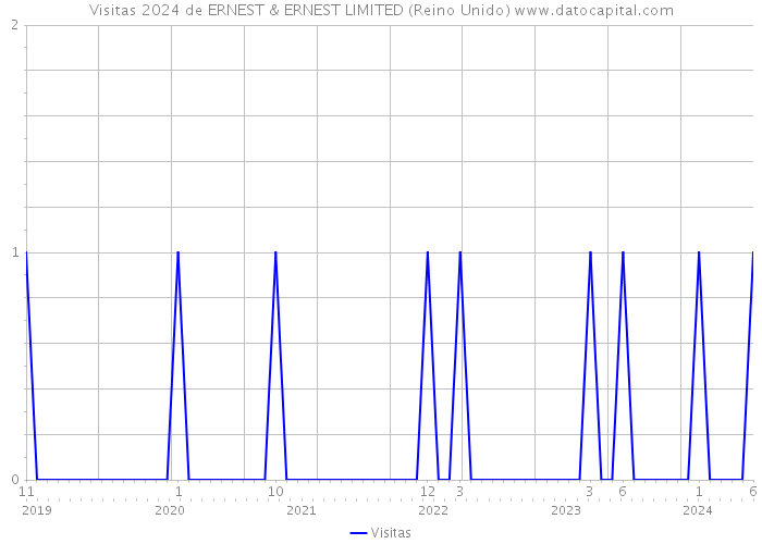 Visitas 2024 de ERNEST & ERNEST LIMITED (Reino Unido) 