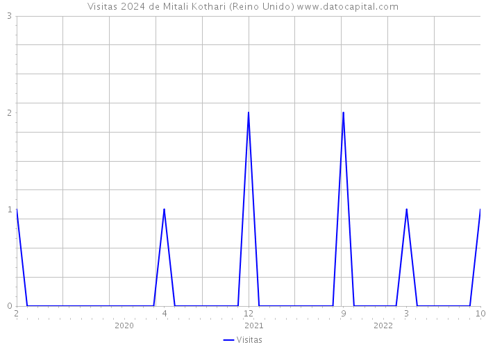 Visitas 2024 de Mitali Kothari (Reino Unido) 