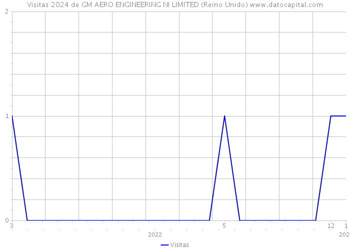 Visitas 2024 de GM AERO ENGINEERING NI LIMITED (Reino Unido) 