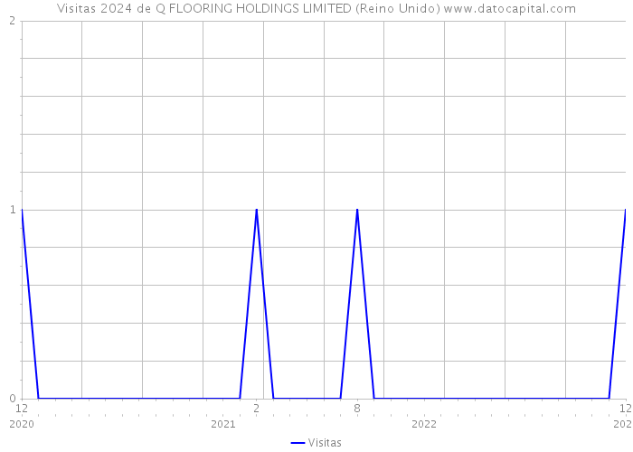 Visitas 2024 de Q FLOORING HOLDINGS LIMITED (Reino Unido) 