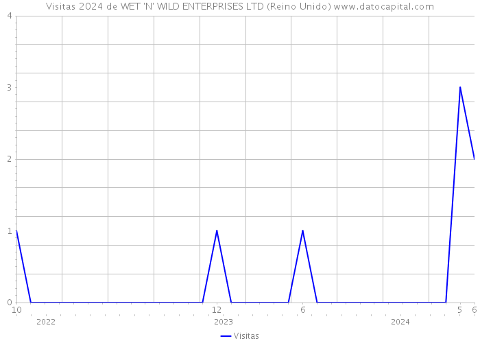 Visitas 2024 de WET 'N' WILD ENTERPRISES LTD (Reino Unido) 