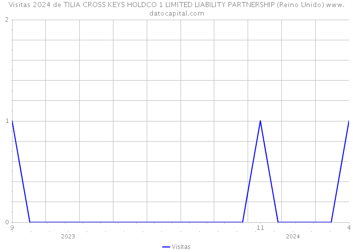 Visitas 2024 de TILIA CROSS KEYS HOLDCO 1 LIMITED LIABILITY PARTNERSHIP (Reino Unido) 