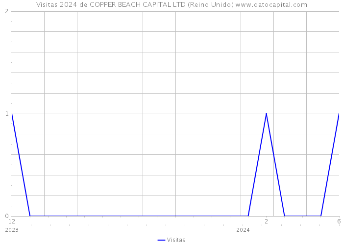 Visitas 2024 de COPPER BEACH CAPITAL LTD (Reino Unido) 