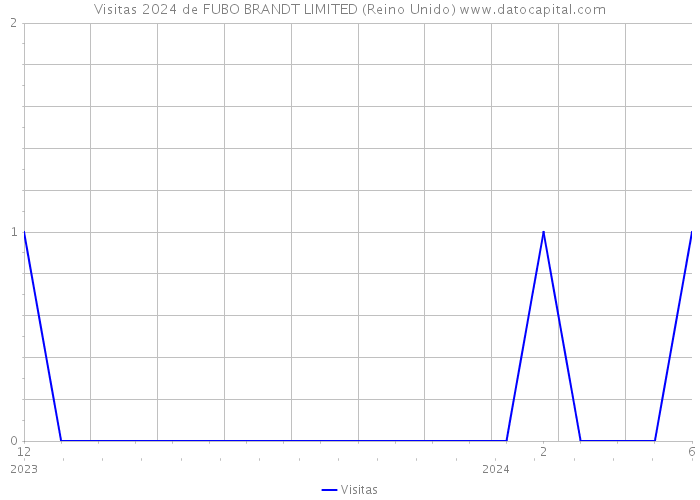 Visitas 2024 de FUBO BRANDT LIMITED (Reino Unido) 